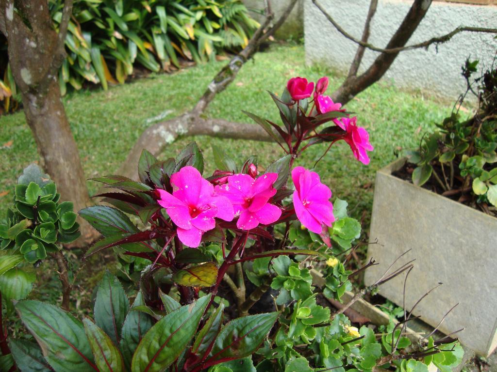Sonho Verde Guest House Campos do Jordão 외부 사진